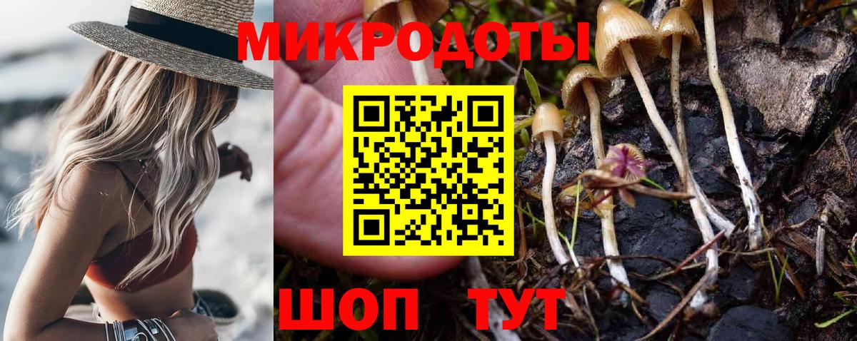 Псилоцибиновые грибы Cubensis  Вход с VPN  Волжск 
